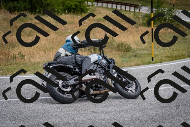 202507131036-DSC_7283_c2