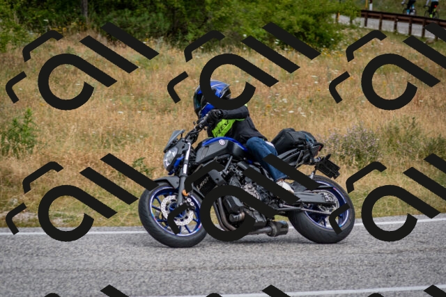 202507131036-DSC_7287_c2