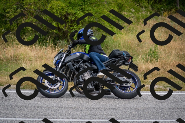 202507131036-DSC_7288_c2