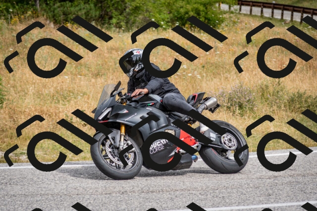 202507131050-DSC_7368_c2