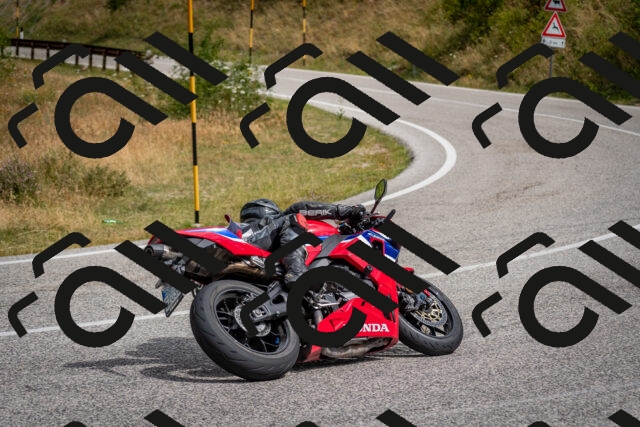 202507131053-DSC_7381_c2