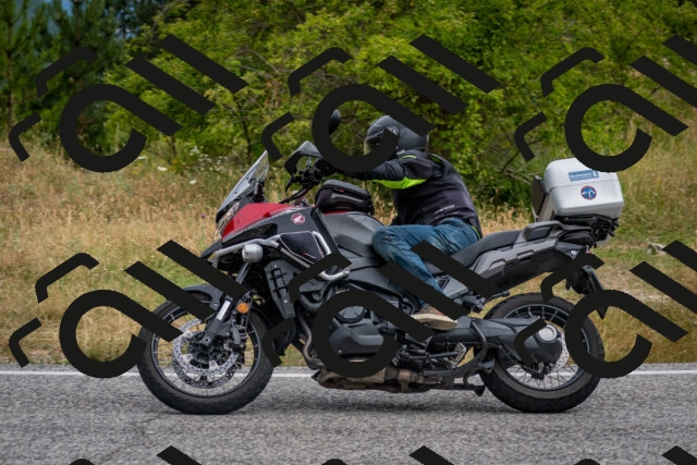 202507131100-DSC_7431_c2