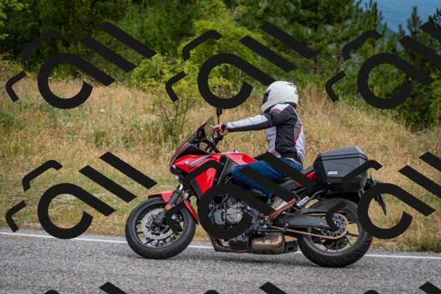 202507131100-DSC_7436_c2