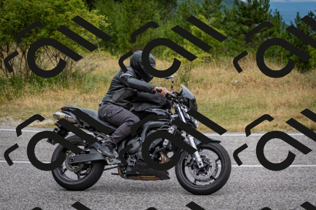 202507131102-DSC_7449_c2