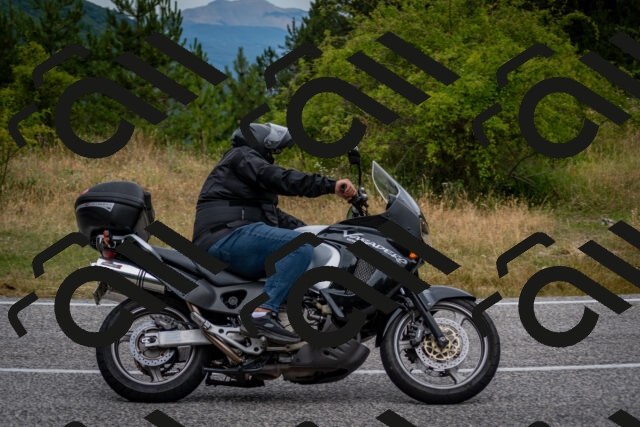 202507131102-DSC_7475_c2