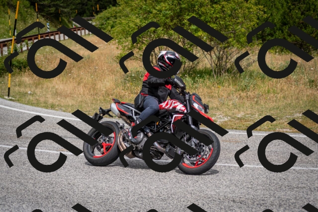 202507131111-DSC_7645_c2