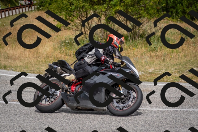 202507131111-DSC_7658_c2