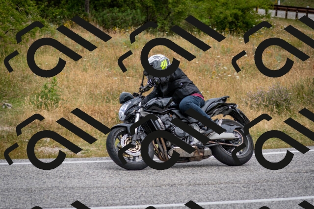 202507131125-DSC_7801_c2