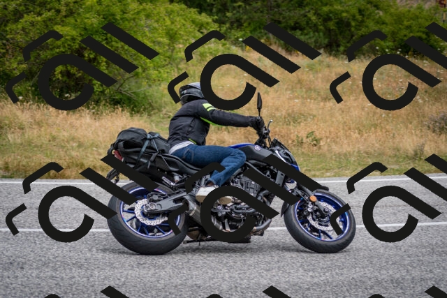 202507131125-DSC_7806_c2