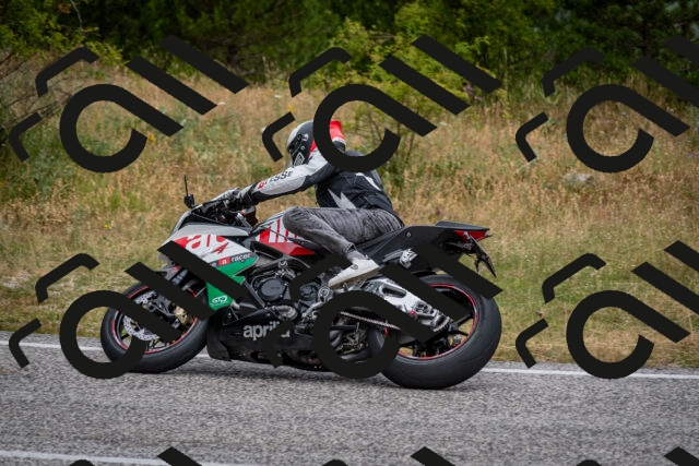 202507131126-DSC_7812_c2