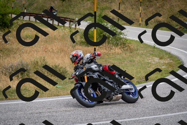 202507131129-DSC_7874_c2