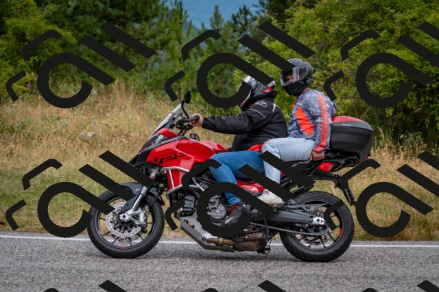 202507131130-DSC_7890_c2