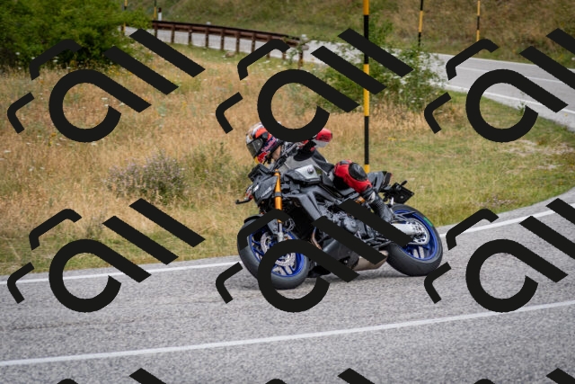 202507131131-DSC_7902_c2