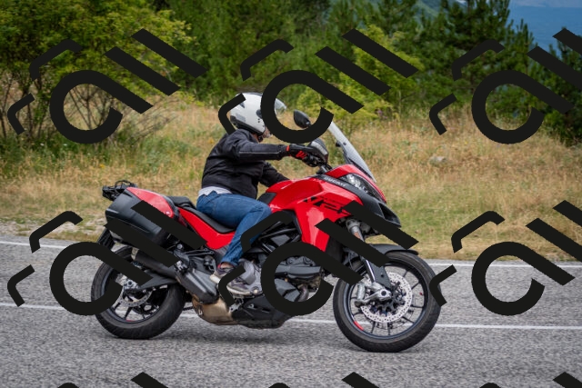 202507131131-DSC_7908_c2