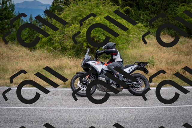 202507131132-DSC_7912_c2