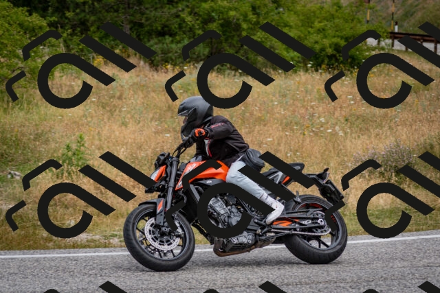 202507131132-DSC_7916_c2