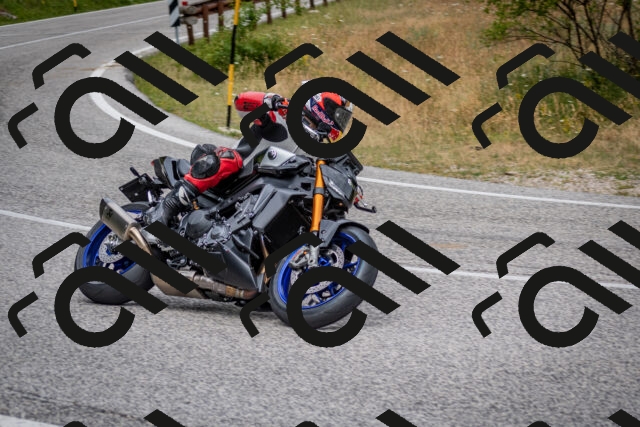 202507131133-DSC_7932_c2