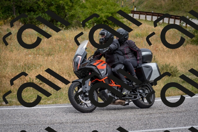 202507131133-DSC_7933_c2