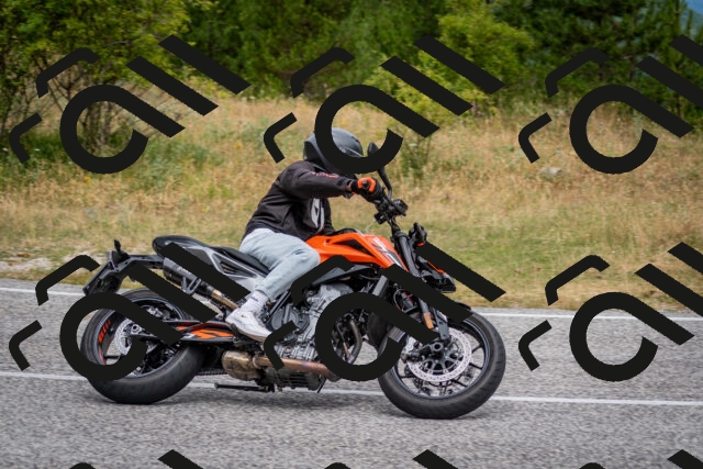 202507131133-DSC_7937_c2