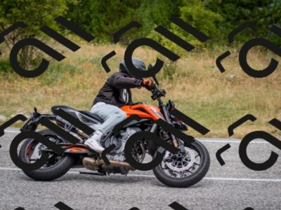 202507131133-DSC_7937_c2