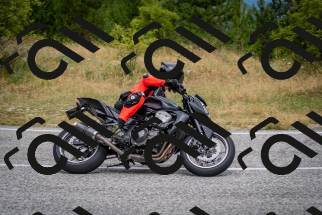 202507131133-DSC_7939_c2