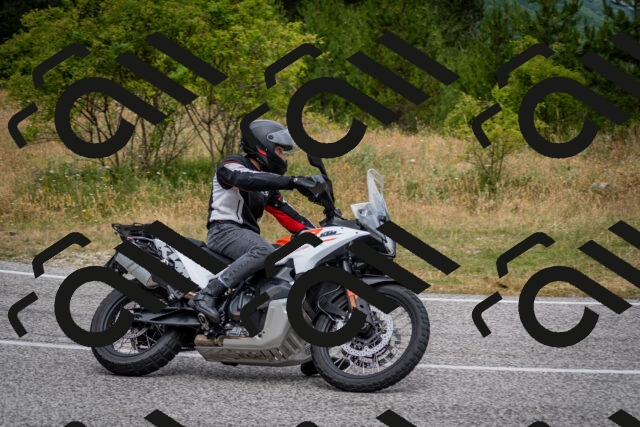 202507131133-DSC_7941_c2