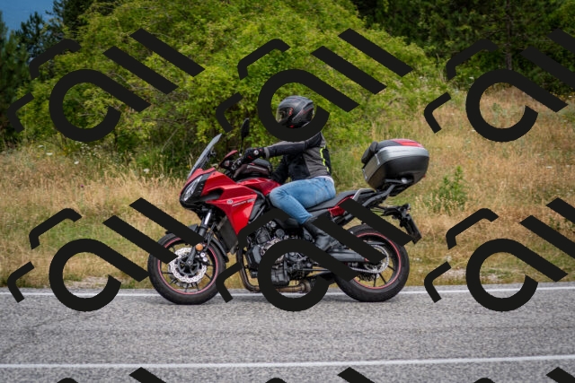 202507131133-DSC_7950_c2