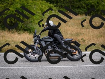 202507131136-DSC_7983_c2