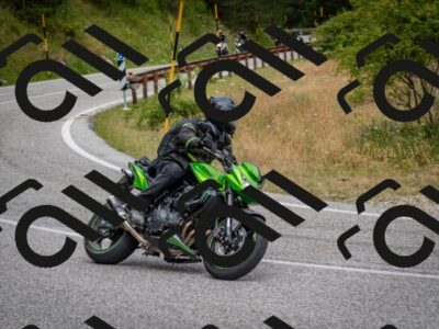 202507131137-DSC_8008_c2