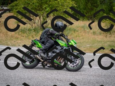 202507131137-DSC_8009_c2