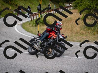 202507131137-DSC_8010_c2