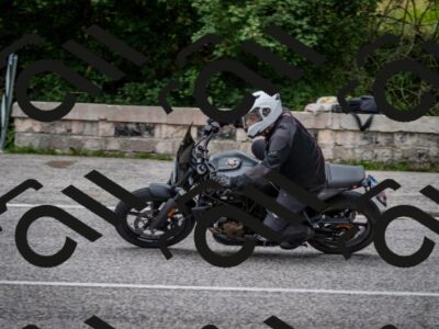 202507131141-DSC_8118_c2