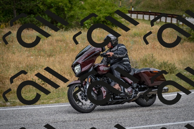 202507131146-DSC_8179_c2