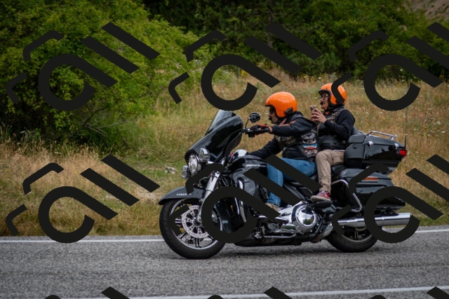 202507131146-DSC_8181_c2