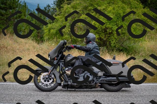 202507131146-DSC_8184_c2