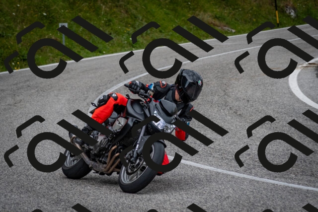 202507131148-DSC_8198_c2