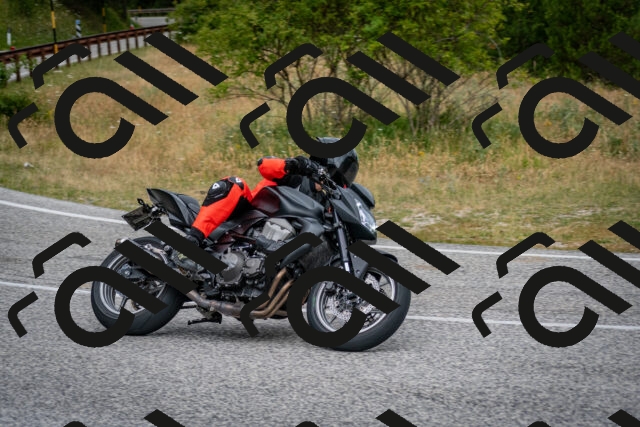 202507131148-DSC_8199_c2