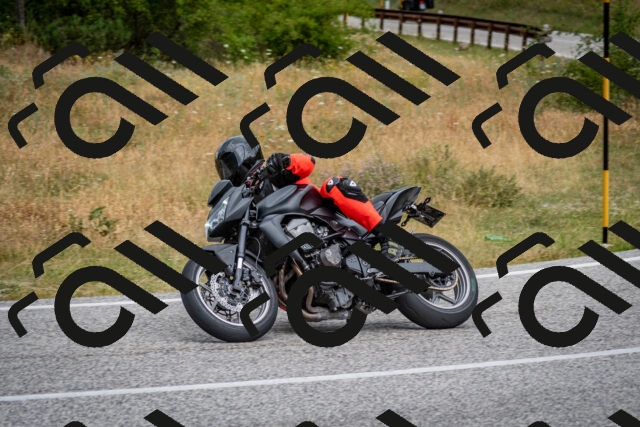 202507131149-DSC_8202_c2