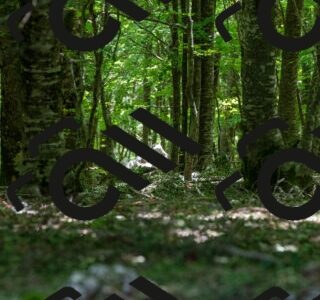 20250712113031-R01_3386_r1