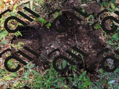 20250712113235-R01_3387_r1