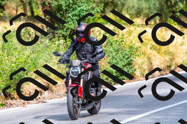 20250713100026-R01_3992_r1