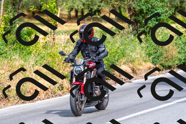 20250713100026-R01_3993_r1