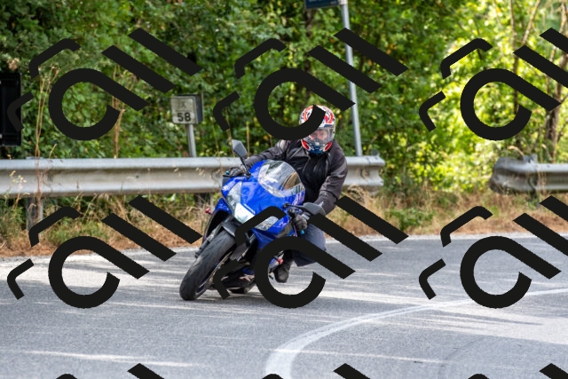 20250713100135-R01_3996_r1