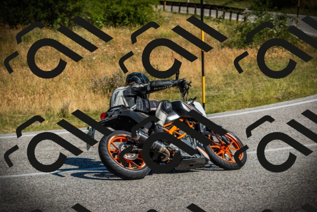 202507121017-DSC09222_c1_