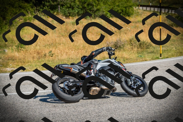 202507121019-DSC09238_c1_