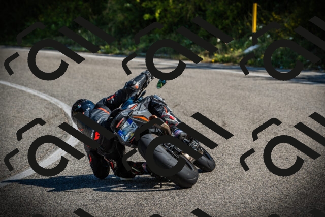 202507121019-DSC09239_c1_