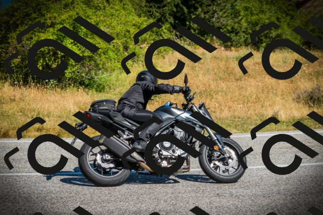 202507121024-DSC09315_c1_