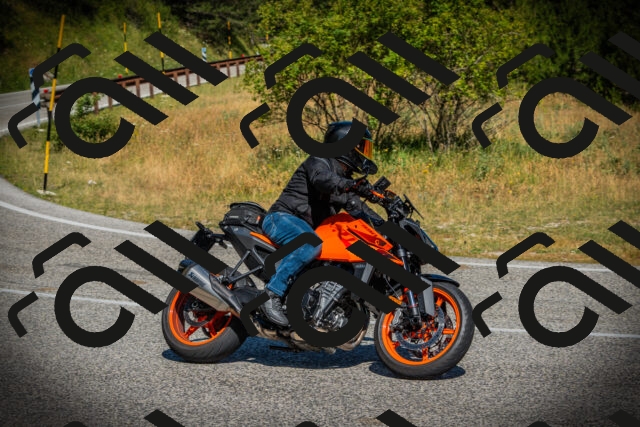 202507121024-DSC09316_c1_