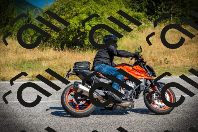 202507121024-DSC09317_c1_