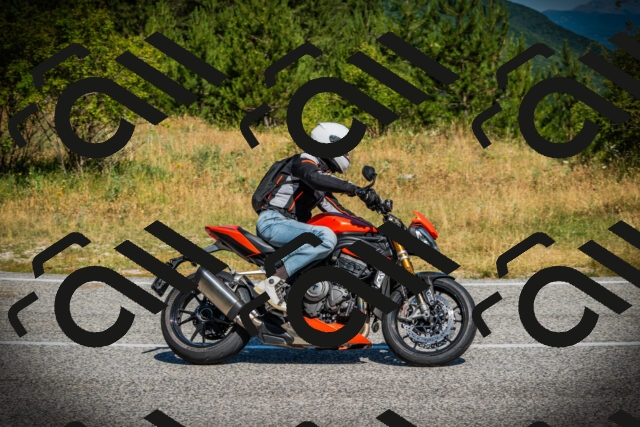 202507121034-DSC09449_c1_